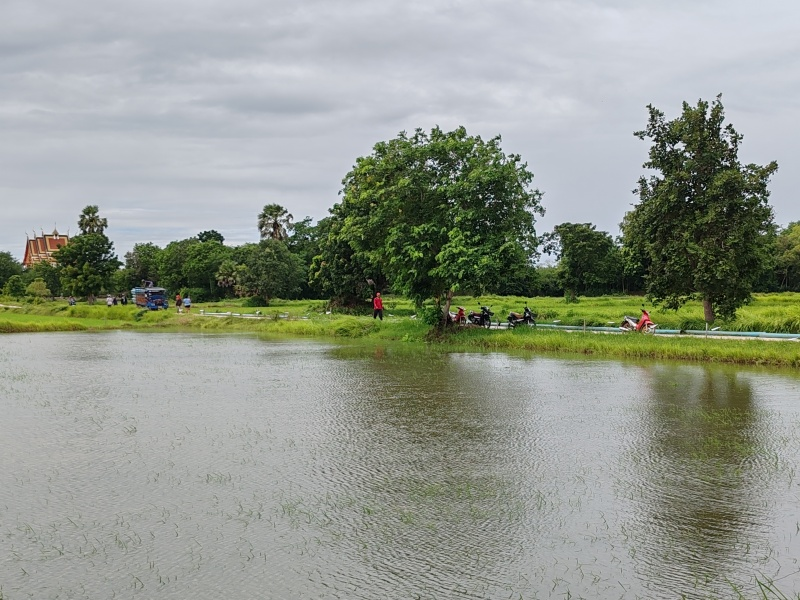 โครงการสูบน้ำเพื่อแก้ปัญหาภัยแล้ง  บ้านทุ่งหนองแหวน หมู่ที่ 6 ระหว่างวันที่ 19 -29 สิงหาคม 2568  และ บ้านหนองไผ่ หมู่ที่ 2 ระหว่างวันที่ 1-15 กันยายน