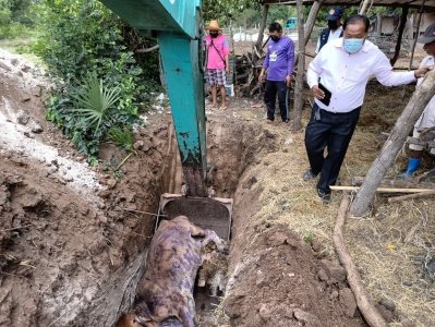 องค์การบริหารส่วนตำบลมะค่า ได้รับแจ้งเหตุ โคเป็นโรคโคลัมปี สกิน ในพื้นที่        เมื่อวันที่ 14 มิถุนายน 2564 งานป้องกันฯ ได้รับแจ้งจากผู้นำหมู่บ้าน ว่ามีโค ในพื้นที่ตำบลมะค่าป่วยและเสียชีวิต อาจเกิดจ