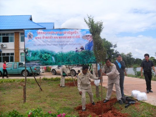 กิจกรรมโครงการอาสาปลูกป่า 800 ล้านกล้า 80 พรรษามหาราชินีและมอบเงินช่วยเหลือประชาชนบ้านพัง(10/08/55)