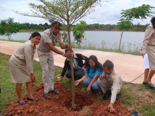 กิจกรรมโครงการอาสาปลูกป่า 800 ล้านกล้า 80 พรรษามหาราชินีและมอบเงินช่วยเหลือประชาชนบ้านพัง(10/08/55)