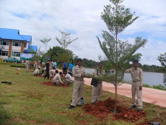 กิจกรรมโครงการอาสาปลูกป่า 800 ล้านกล้า 80 พรรษามหาราชินีและมอบเงินช่วยเหลือประชาชนบ้านพัง(10/08/55)