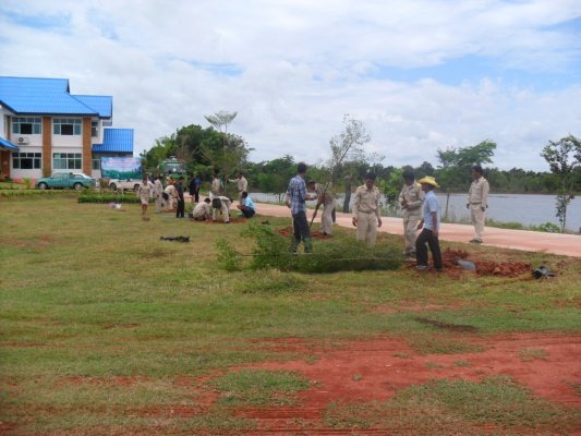 กิจกรรมโครงการอาสาปลูกป่า 800 ล้านกล้า 80 พรรษามหาราชินีและมอบเงินช่วยเหลือประชาชนบ้านพัง(10/08/55)