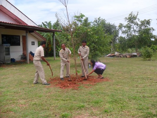 กิจกรรมโครงการอาสาปลูกป่า 800 ล้านกล้า 80 พรรษามหาราชินีและมอบเงินช่วยเหลือประชาชนบ้านพัง(10/08/55)