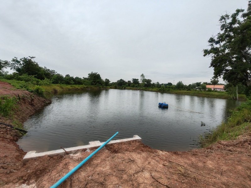 โครงการสูบน้ำเพื่อแก้ปัญหาภัยแล้ง
บ้านทุ่งหนองแหวน หมู่ที่ 6 ระหว่างวันที่ 19 -29 สิงหาคม 2568
และ บ้านหนองไผ่ หมู่ที่ 2 ระหว่างวันที่ 1-15 กันยายน
