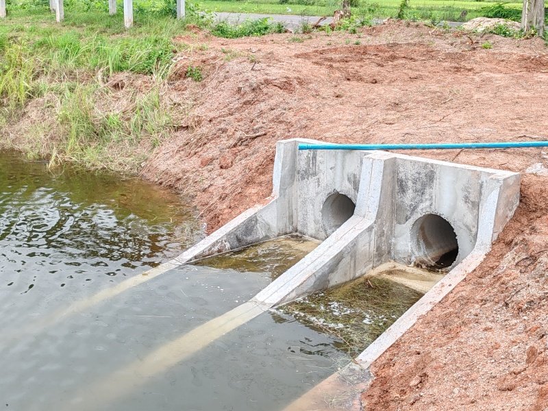 โครงการสูบน้ำเพื่อแก้ปัญหาภัยแล้ง
บ้านทุ่งหนองแหวน หมู่ที่ 6 ระหว่างวันที่ 19 -29 สิงหาคม 2568
และ บ้านหนองไผ่ หมู่ที่ 2 ระหว่างวันที่ 1-15 กันยายน
