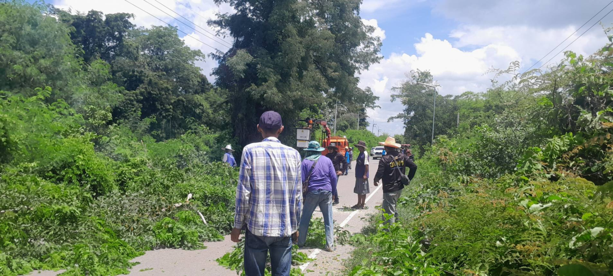 กิจกรรม บ้านเมืองสะอาด บูชาคุณย่าโม จังหวัดนครราชสีมา #โคราชสะอาด #บูชาคุณย่าโม  #200ปีวีระกรรมย่าโม #นครราชสีมา #ทำความสะอาดเมือง #อำเภอโนนไทย #องค์การบริหารส่วนตำบลมะค่า